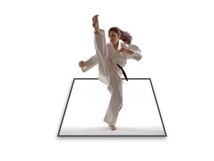 PowerPoint Image - 3D Karate Woman Kick Square