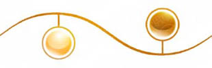Presentationpro.com Powerpoint Products and Services