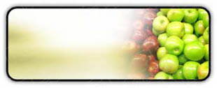 Presentationpro.com Powerpoint Products and Services
