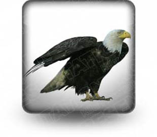 Presentationpro.com Powerpoint Products and Services