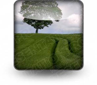 Presentationpro.com Powerpoint Products and Services