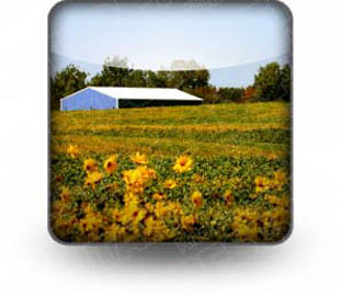 Presentationpro.com Powerpoint Products and Services