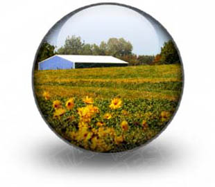 Presentationpro.com Powerpoint Products and Services