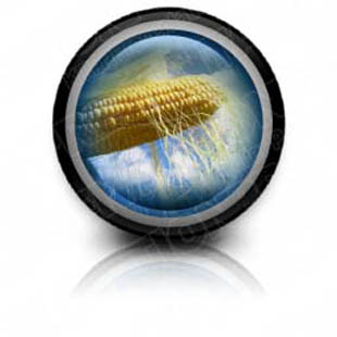 Presentationpro.com Powerpoint Products and Services