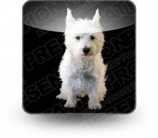 Presentationpro.com Powerpoint Products and Services