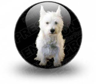 Presentationpro.com Powerpoint Products and Services