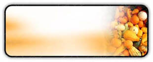 Presentationpro.com Powerpoint Products and Services