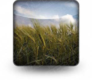 Presentationpro.com Powerpoint Products and Services