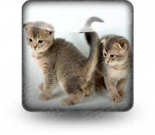 Presentationpro.com Powerpoint Products and Services