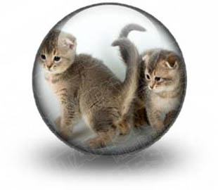 Presentationpro.com Powerpoint Products and Services