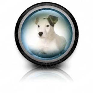 Download puppy 01 c PowerPoint Icon and other software plugins for Microsoft PowerPoint