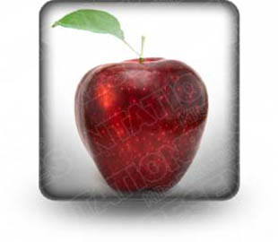 Presentationpro.com Powerpoint Products and Services