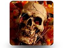 Skull 01 Square PPT PowerPoint Image Picture
