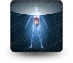 Presentationpro.com Powerpoint Products and Services