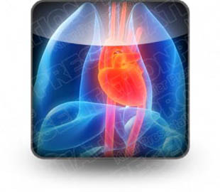 Presentationpro.com Powerpoint Products and Services