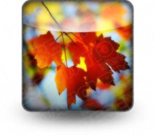 Presentationpro.com Powerpoint Products and Services