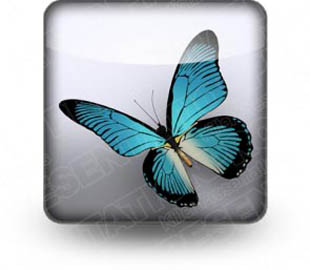 Butterfly Software Download