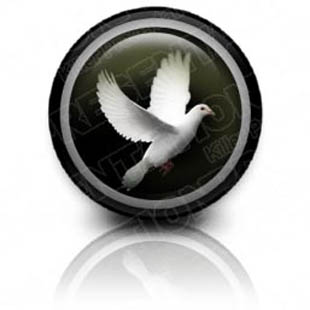 Presentationpro.com Powerpoint Products and Services
