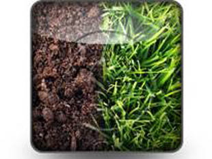 Grass And Soil Square PPT PowerPoint Image Picture