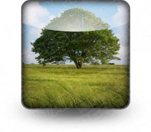 Presentationpro.com Powerpoint Products and Services