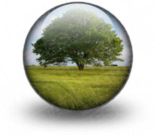 Presentationpro.com Powerpoint Products and Services