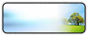 Presentationpro.com Powerpoint Products and Services