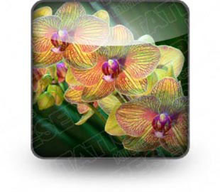 Presentationpro.com Powerpoint Products and Services