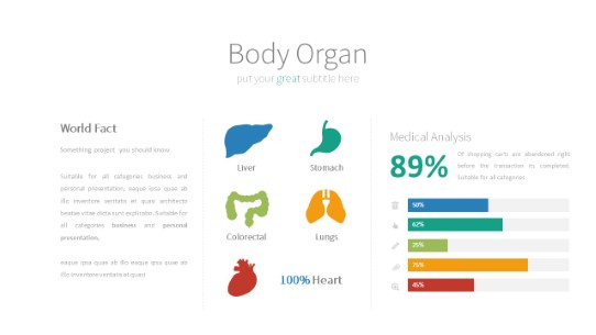 046 Organs PowerPoint Infographic pptx design