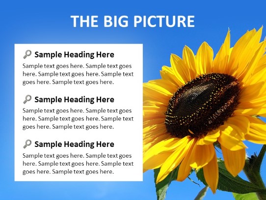 The Big Picture PowerPoint PPT Slide design
