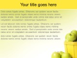 Presentationpro.com Powerpoint Products and Services