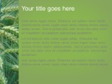 Presentationpro.com Powerpoint Products and Services