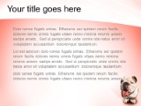 Presentationpro.com Powerpoint Products and Services