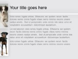 Presentationpro.com Powerpoint Products and Services