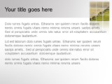 Presentationpro.com Powerpoint Products and Services