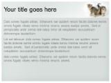 Presentationpro.com Powerpoint Products and Services