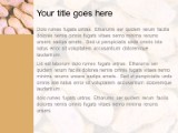 Presentationpro.com Powerpoint Products and Services