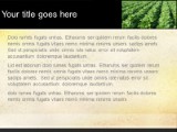 Presentationpro.com Powerpoint Products and Services