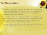 Presentationpro.com Powerpoint Products and Services