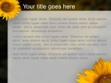 Presentationpro.com Powerpoint Products and Services