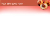 Presentationpro.com Powerpoint Products and Services