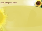 Presentationpro.com Powerpoint Products and Services
