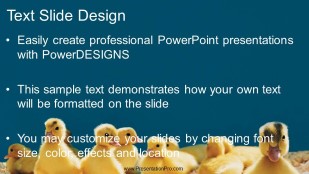 Baby Ducks Widescreen PowerPoint Template text slide design
