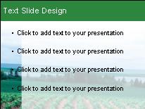 Potato Field PowerPoint Template text slide design
