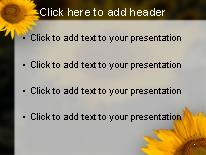 Sunflowers PowerPoint Template text slide design