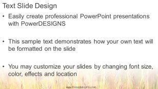 Wheat Field 01 Widescreen PowerPoint Template text slide design