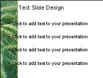 Barley PowerPoint Template text slide design