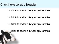 Cow PowerPoint Template text slide design
