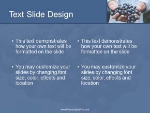 Fresh Blue Berries PowerPoint Template text slide design