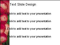 Red Potato PowerPoint Template text slide design