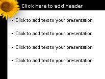 Sunflowers PowerPoint Template text slide design